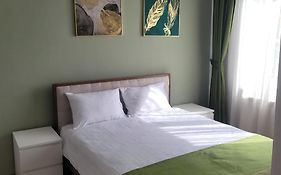B8 - Spacious, Charming Apartment in Central Sibiu