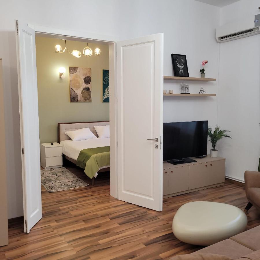 B8 - Spacious, Charming Apartment in Central Sibiu Exterior foto