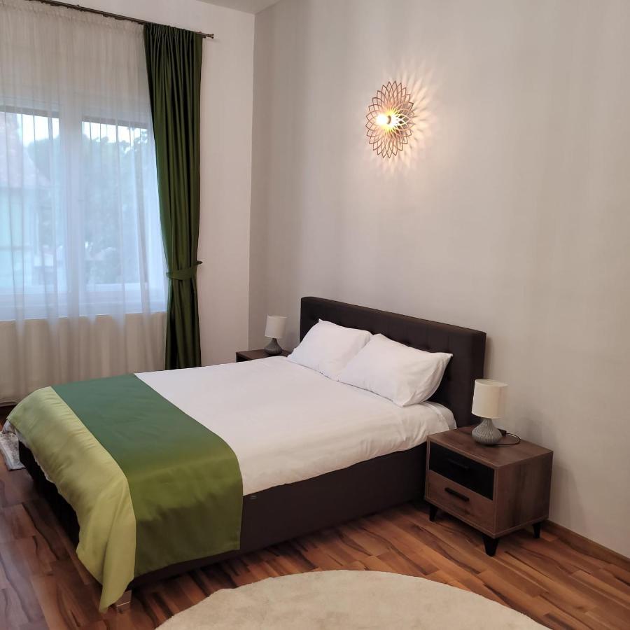 B8 - Spacious, Charming Apartment in Central Sibiu Exterior foto